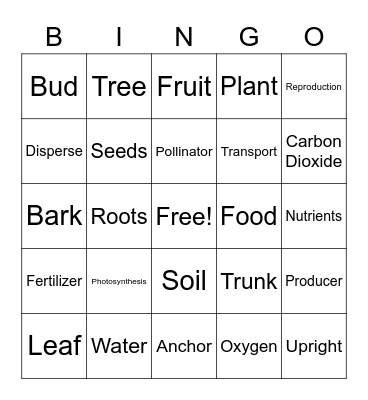 Plant Parts Bingo Card