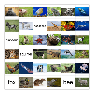 Les animaux Bingo Card