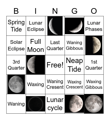 Lunar Phases Bingo Card