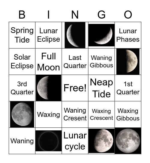 Lunar Phases Bingo Card