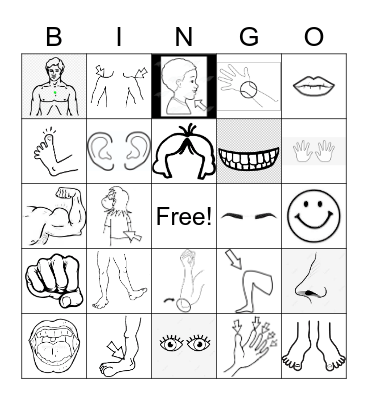 PARTS OF THE BODY-DIFFICULT Bingo Card