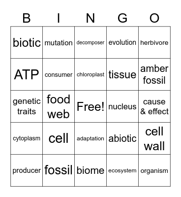 Science Bingo Card