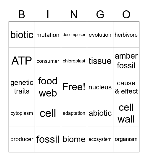 Science Bingo Card