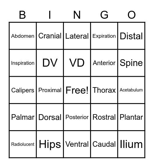 Diagnostic Imaging Day 4 Bingo Card