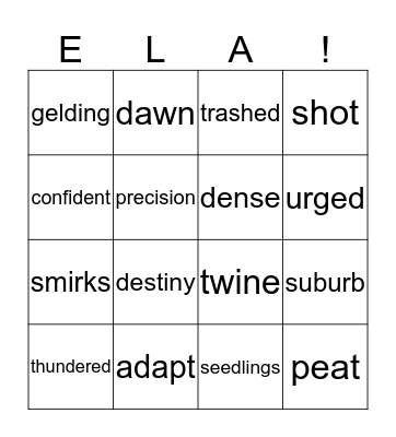 Semester test review Bingo Card