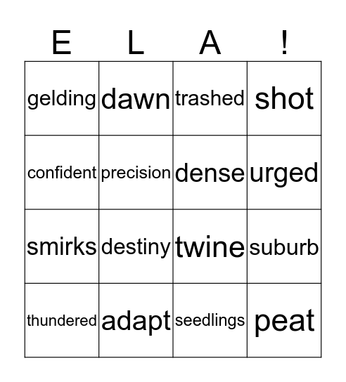 Semester test review Bingo Card