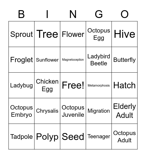 Life Cycle 2 Bingo Card