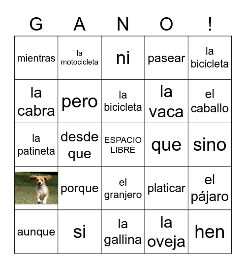 Spanish 1 - Vocab 8A Bingo Card