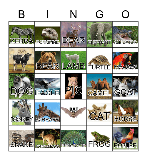 ANIMAL Bingo Card