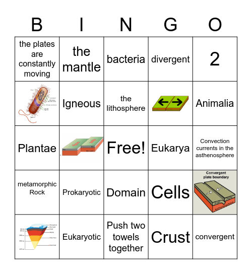 Science Review Bingo Card