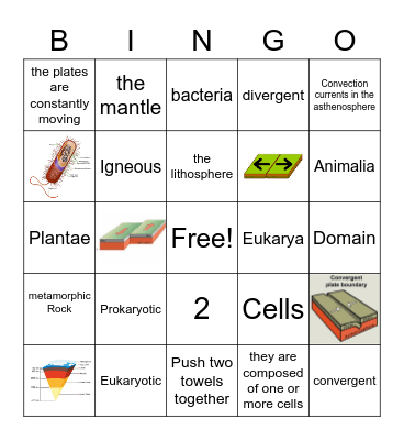 Science Review Bingo Card