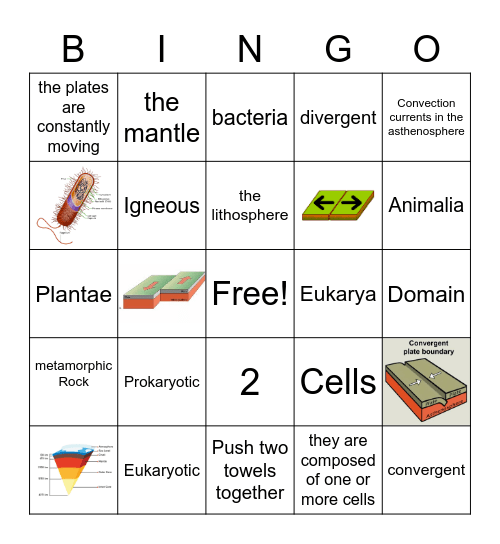 Science Review Bingo Card