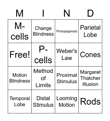 Sensation & Perception Bingo Card