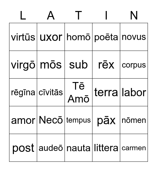 Wheelock's caput VII Bingo Card