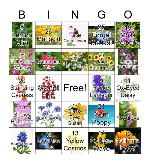 Wildflower Bingo Card