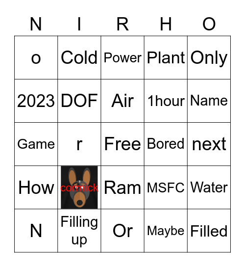 Nirho Bingo Card