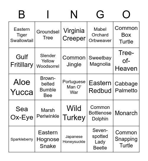 inat bingo may Bingo Card