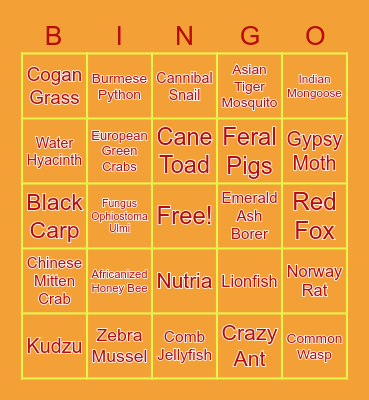 INVASIVE SPECIES Bingo Card