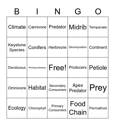 Adventures on Planet Earth Bingo Card