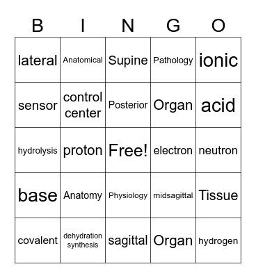 HBHD Chemistry and Intro Bingo Card