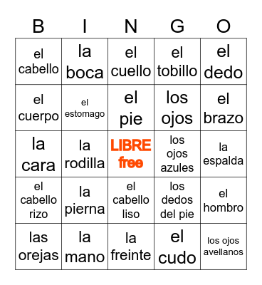 HHS Las partes del cuerpo Bingo Card