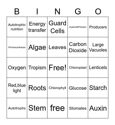 Plant Bingo Card