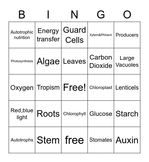 Plant Bingo Card