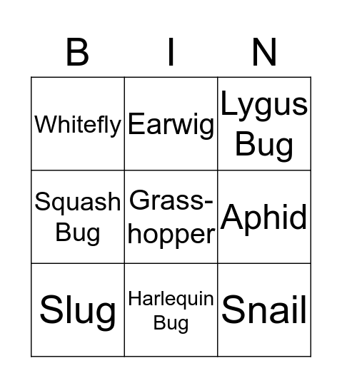 Vegetable Insects  Bingo Card