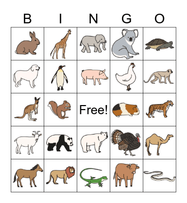 Animals Bingo Card