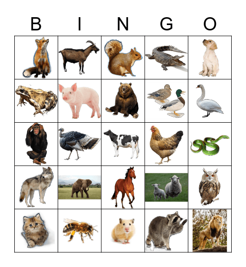 ANIMALS Bingo Card