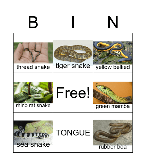 Snake Bingo Card