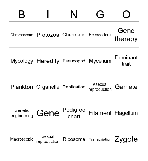 7th science review chapter 11 Bingo Card