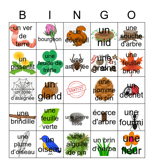 Chasse au Trésor - La Nature Bingo Card