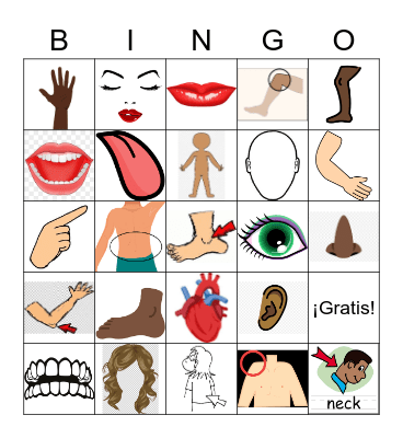 El cuerpo Bingo Card