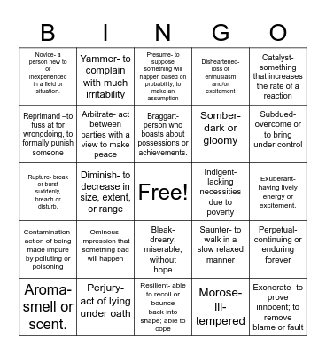 Vocabulary #2 Bingo Card