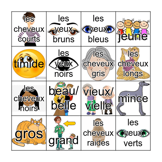 Les Caractéristiques Physique Bingo Card