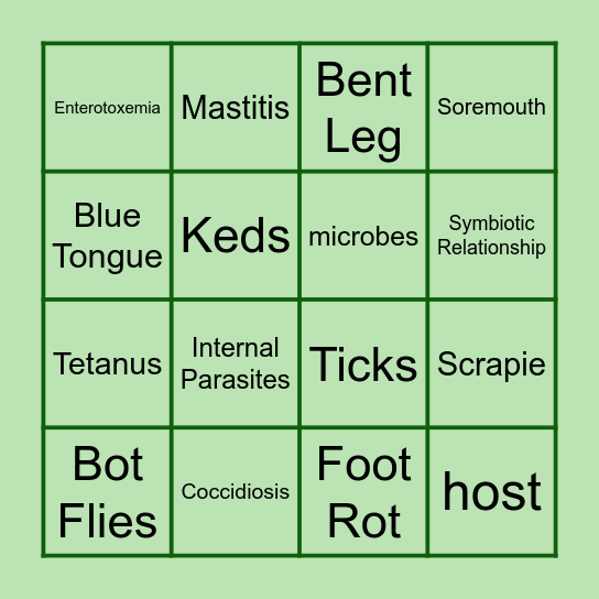 Sheep Diseases Bingo Card