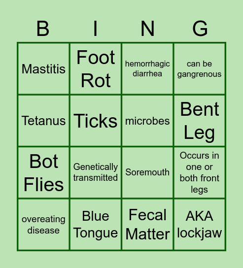 Sheep Diseases Bingo Card