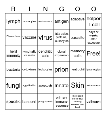 Immune System Test Review Bingo Card
