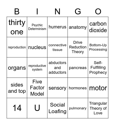 Theory Bingo Card