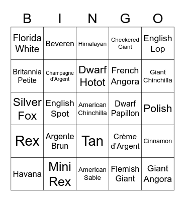 Rabbit Breeds Bingo Card