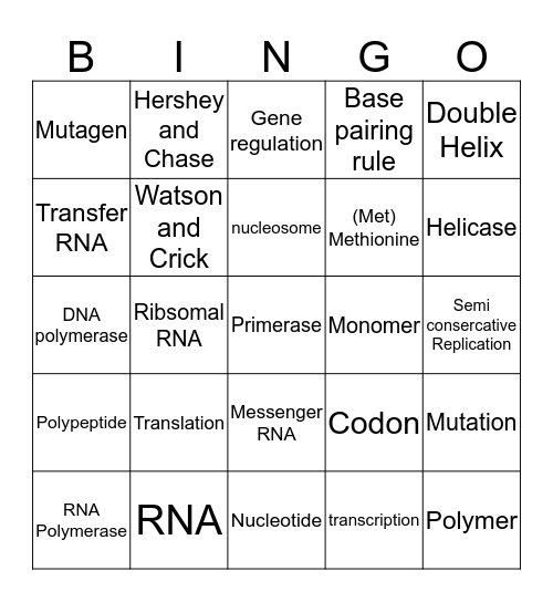 Protein Synthesis  Bingo Card