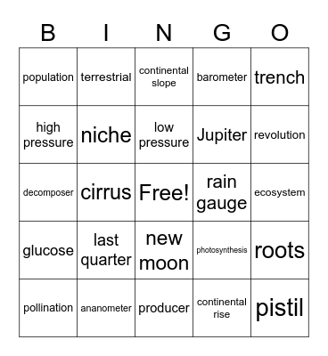 4th Grade Science Review Bingo Card