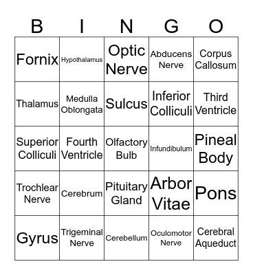 Brain Bingo! Bingo Card