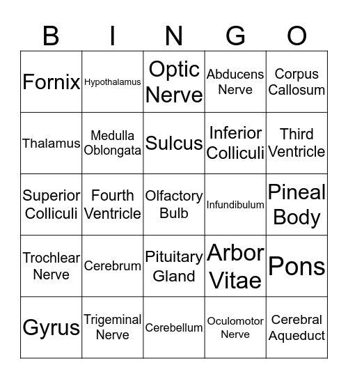 Brain Bingo! Bingo Card