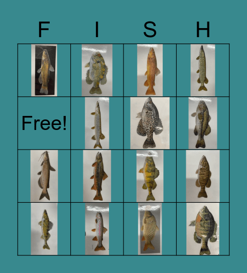 FISH BINGO (FISHBO) Bingo Card