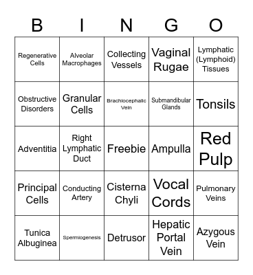 Exam 4 Review Bingo Card