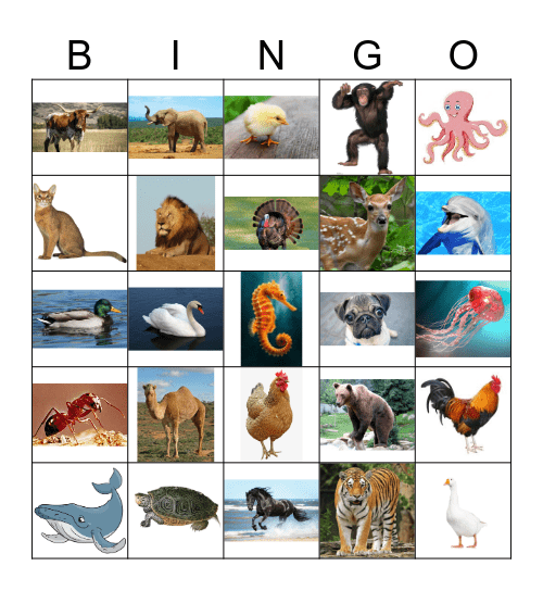 Los animales Bingo Card