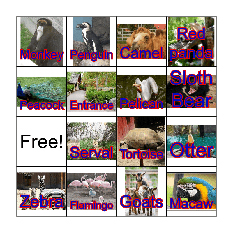 Zoo Bingo Card