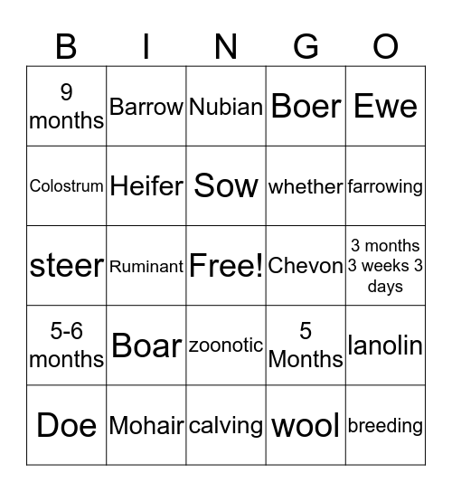 Animal Science Terms Bingo Card